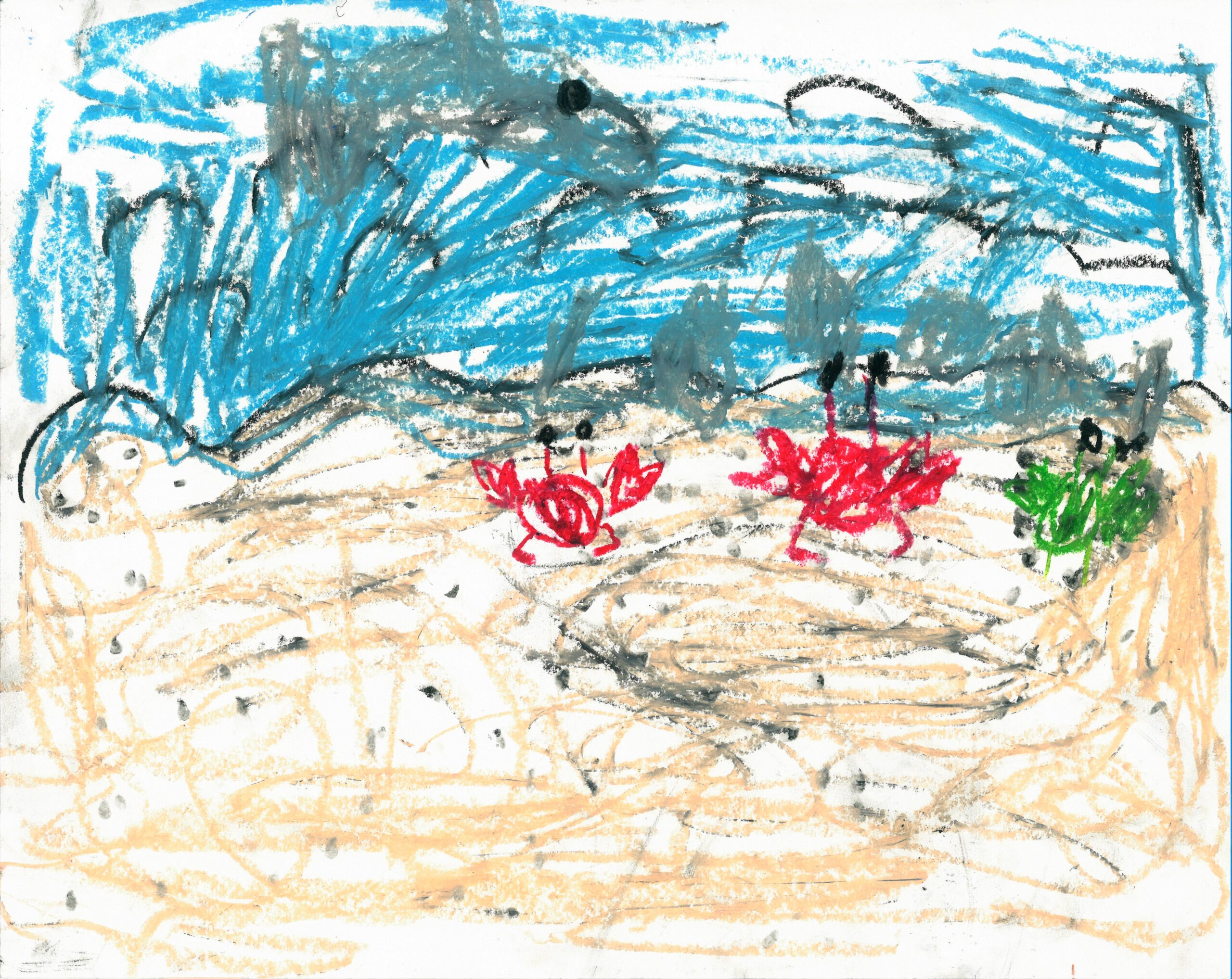 20240137-2.jpg