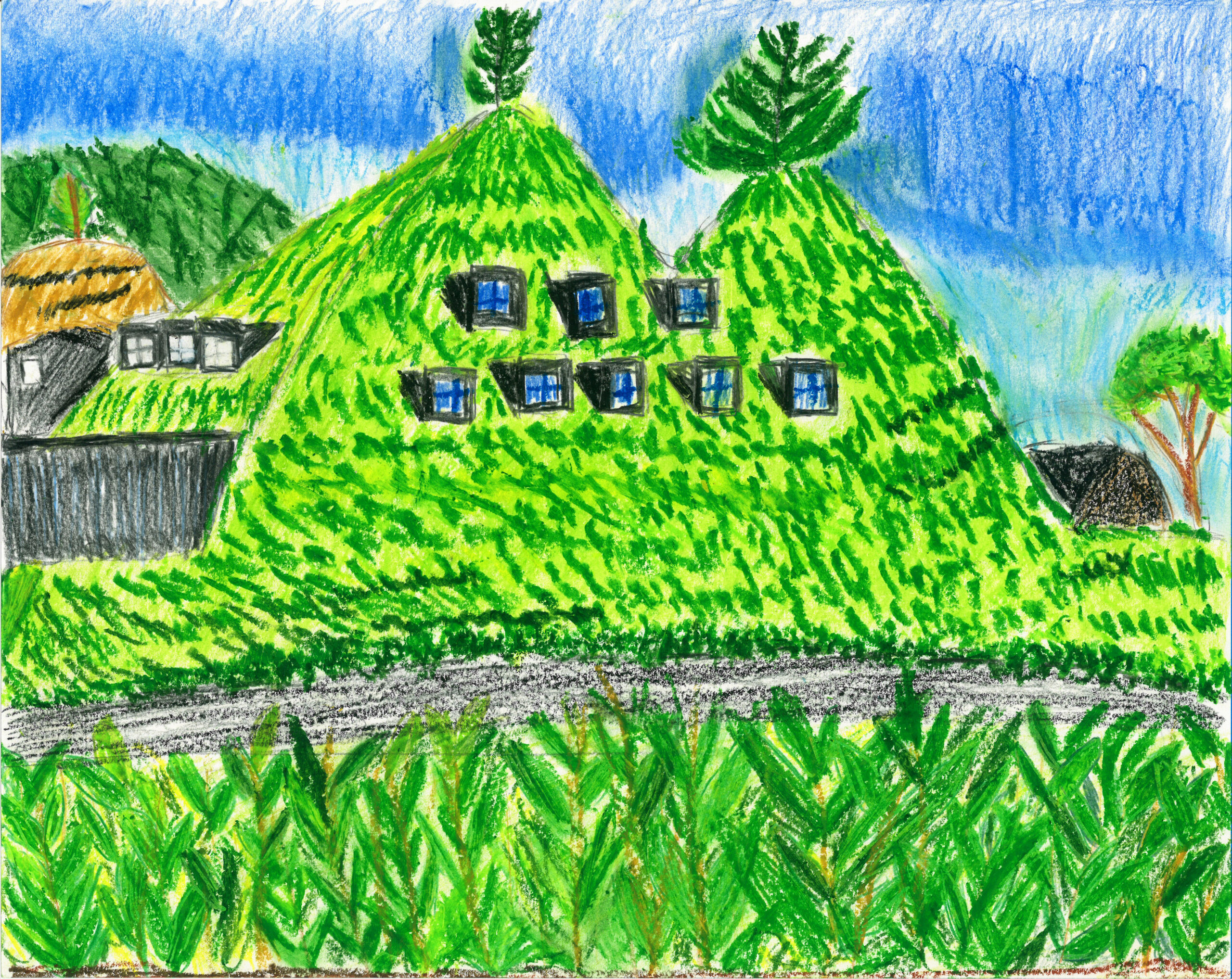 20240293-1.jpg